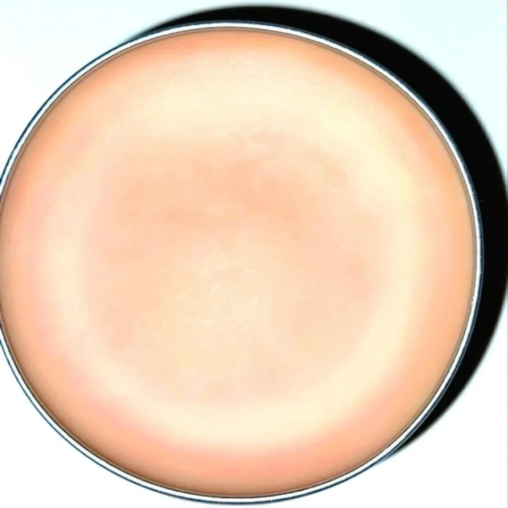 Orange Lemon natural lip balm 3 for $13 mix and match